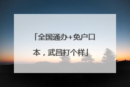 全国通办+免户口本，武昌打个样