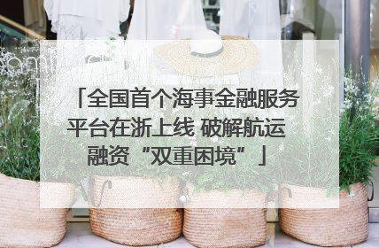 全国首个海事金融服务平台在浙上线 破解航运融资“双重困境”