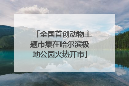 全国首创动物主题市集在哈尔滨极地公园火热开市