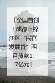 全国首创！成都市锦江区“民营发展贷”两月放款1.7亿元