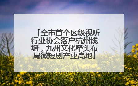 全市首个区级视听行业协会落户杭州钱塘，九州文化牵头布局微短剧产业高地