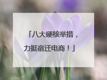 八大硬核举措，力挺宿迁电商！