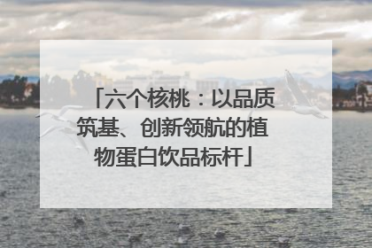 六个核桃：以品质筑基、创新领航的植物蛋白饮品标杆