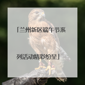 兰州新区端午节系列活动精彩纷呈