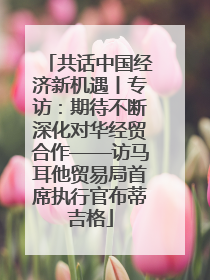 共话中国经济新机遇丨专访：期待不断深化对华经贸合作——访马耳他贸易局首席执行官布蒂吉格