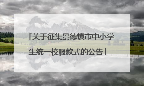 关于征集景德镇市中小学生统一校服款式的公告