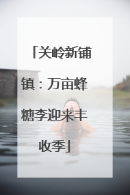 关岭新铺镇：万亩蜂糖李迎来丰收季