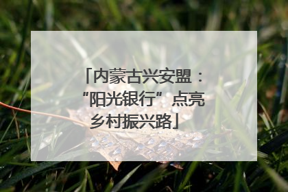 内蒙古兴安盟：“阳光银行”点亮乡村振兴路