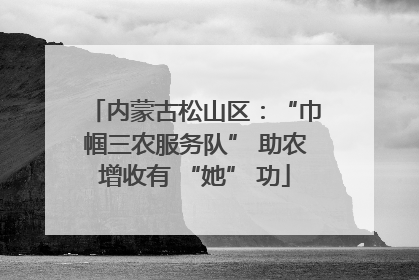内蒙古松山区：“巾帼三农服务队” 助农增收有 “她” 功