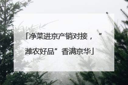 净菜进京产销对接，“潍农好品”香满京华