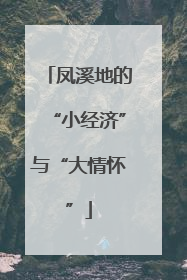 凤溪地的“小经济”与“大情怀”