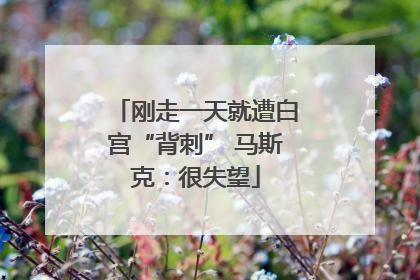 刚走一天就遭白宫“背刺” 马斯克：很失望