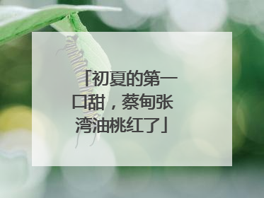 初夏的第一口甜，蔡甸张湾油桃红了