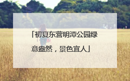 初夏东营明潭公园绿意盎然，景色宜人