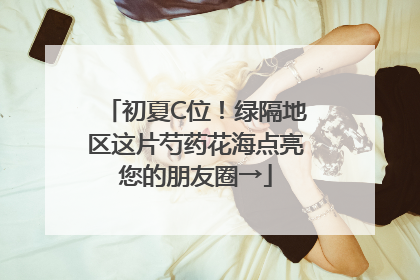 初夏C位！绿隔地区这片芍药花海点亮您的朋友圈→