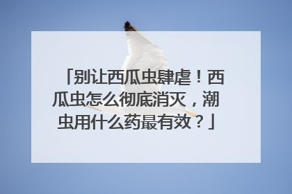 别让西瓜虫肆虐！西瓜虫怎么彻底消灭，潮虫用什么药最有效？