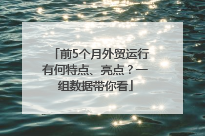 前5个月外贸运行有何特点、亮点？一组数据带你看