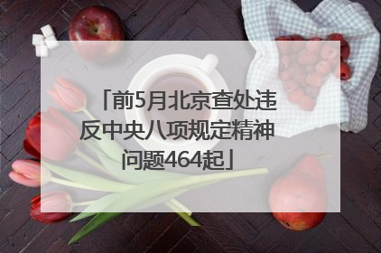 前5月北京查处违反中央八项规定精神问题464起