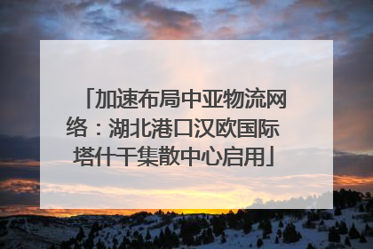 加速布局中亚物流网络：湖北港口汉欧国际塔什干集散中心启用