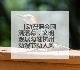动漫盛会圆满落幕，文明观展勾勒杭州动漫节动人风景