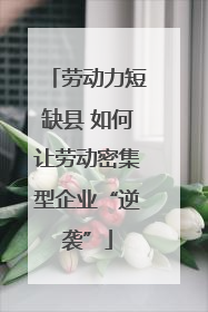 劳动力短缺县 如何让劳动密集型企业“逆袭”