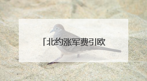 北约涨军费引欧洲不满 比利时专家：军备竞赛不能实现战略自主