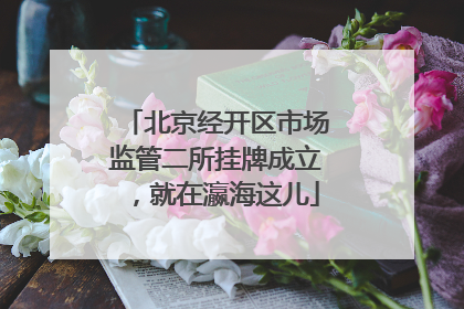 北京经开区市场监管二所挂牌成立，就在瀛海这儿