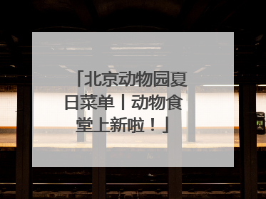 北京动物园夏日菜单丨动物食堂上新啦！