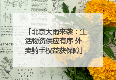北京大雨来袭：生活物资供应有序 外卖骑手权益获保障