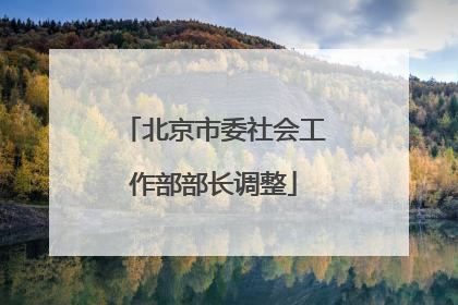 北京市委社会工作部部长调整