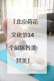 北京荷花文化节14个展区各美其美