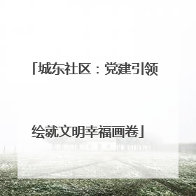 城东社区：党建引领绘就文明幸福画卷