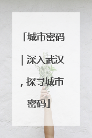 城市密码｜深入武汉，探寻城市密码