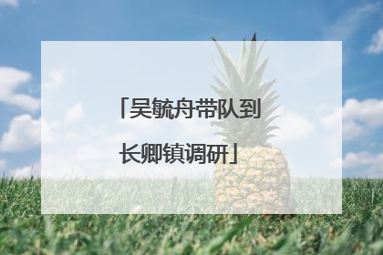 吴毓舟带队到长卿镇调研