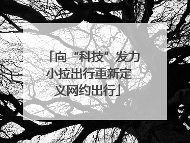 向“科技”发力 小拉出行重新定义网约出行