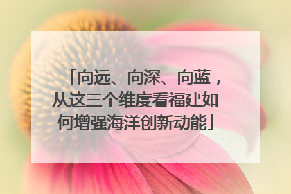 向远、向深、向蓝，从这三个维度看福建如何增强海洋创新动能