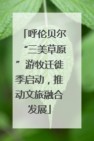 呼伦贝尔“三美草原”游牧迁徙季启动，推动文旅融合发展