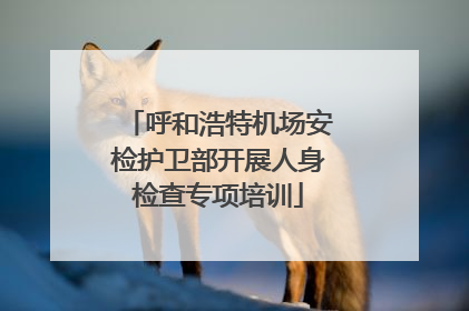 呼和浩特机场安检护卫部开展人身检查专项培训