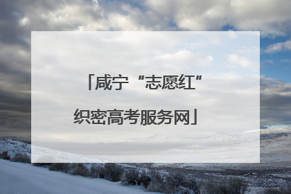 咸宁“志愿红”织密高考服务网