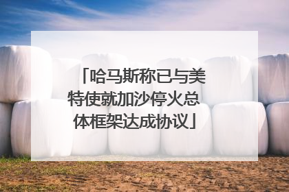 哈马斯称已与美特使就加沙停火总体框架达成协议