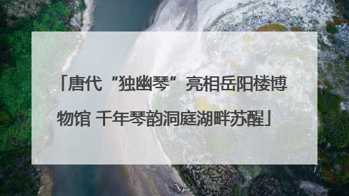 唐代“独幽琴”亮相岳阳楼博物馆 千年琴韵洞庭湖畔苏醒