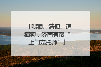 喂粮、清便、逗猫狗，济南有帮“上门宠托师”