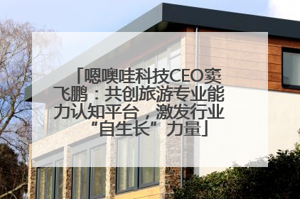 嗯噢哇科技CEO窦飞鹏：共创旅游专业能力认知平台，激发行业“自生长”力量