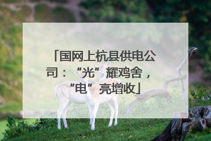 国网上杭县供电公司：“光”耀鸡舍，“电”亮增收
