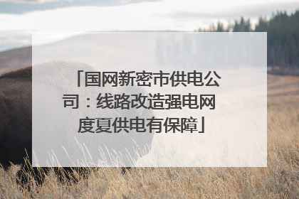 国网新密市供电公司：线路改造强电网 度夏供电有保障