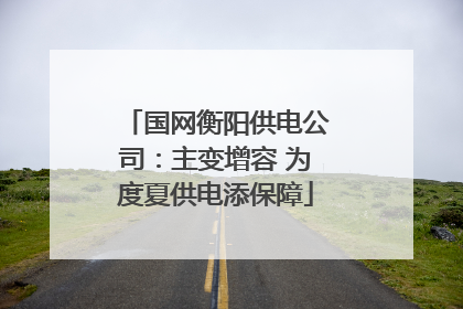 国网衡阳供电公司：主变增容 为度夏供电添保障