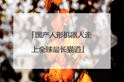 国产人形机器人走上全球最长猫道