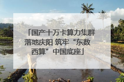 国产十万卡算力集群落地庆阳 筑牢“东数西算”中国底座