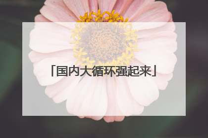 国内大循环强起来