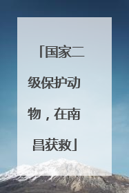 国家二级保护动物，在南昌获救